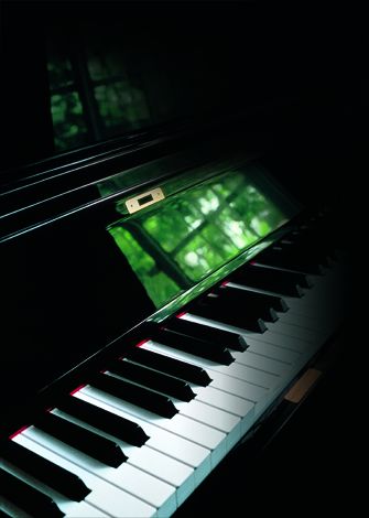 Klavierlack in höchster Vollendung - Zur Bearbeitung bietet Kreeb Schwabbelscheiben und Filzpolierbänder.